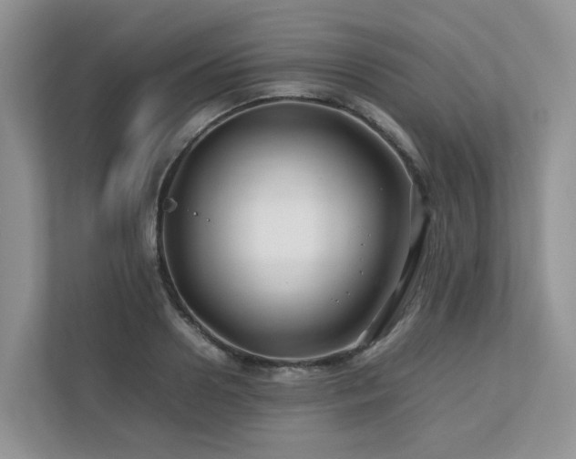 X0000112750938200908201415