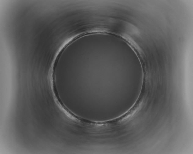 X0000112750941200908201415
