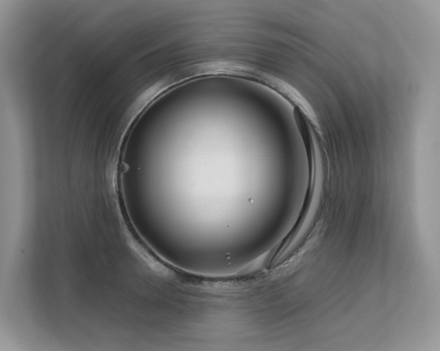X0000112750946200908201415