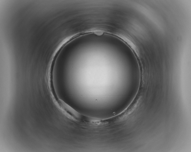 X0000112750949200908201415