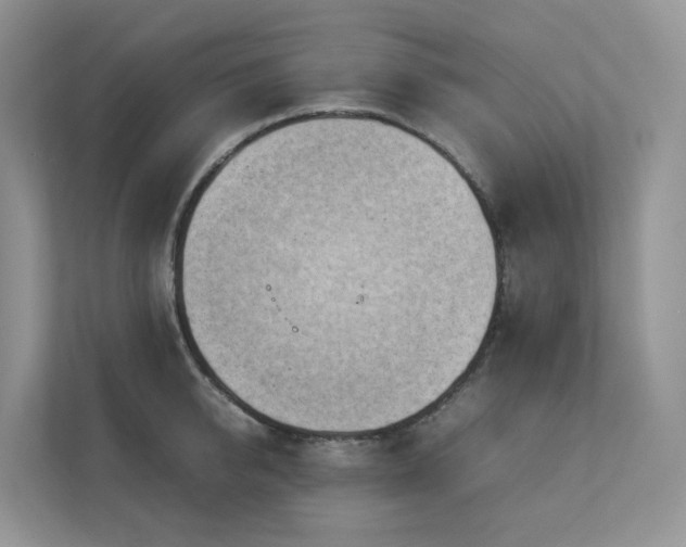 X0000112750950200908201415