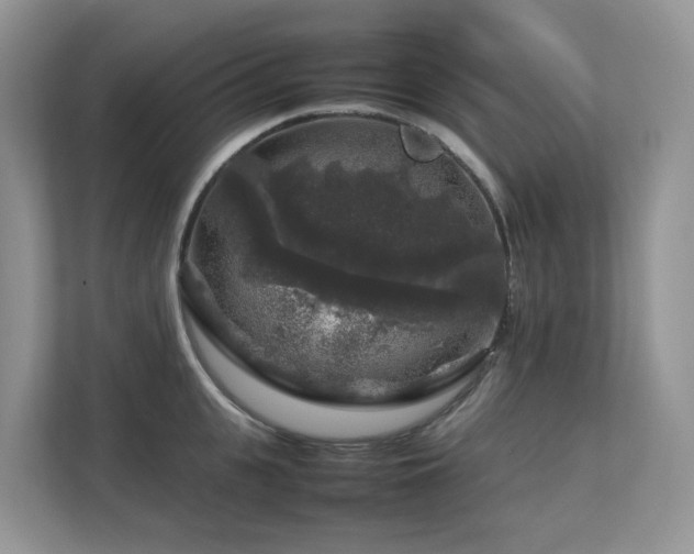 X0000112750951200908201415