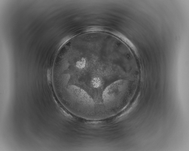 X0000112750953200908201415