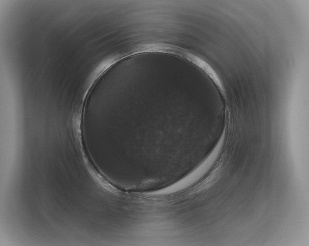 X0000112750954200908201415