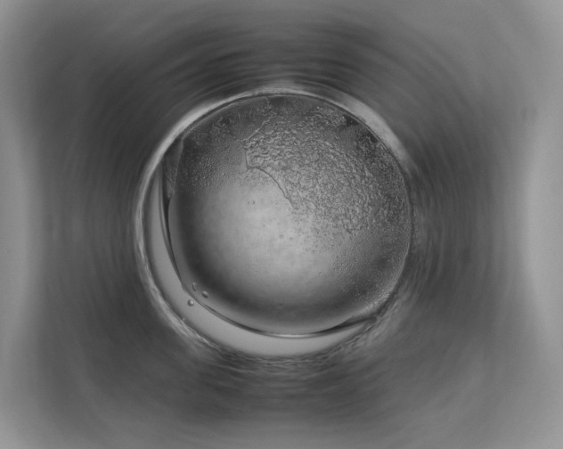X0000112750955200908201415