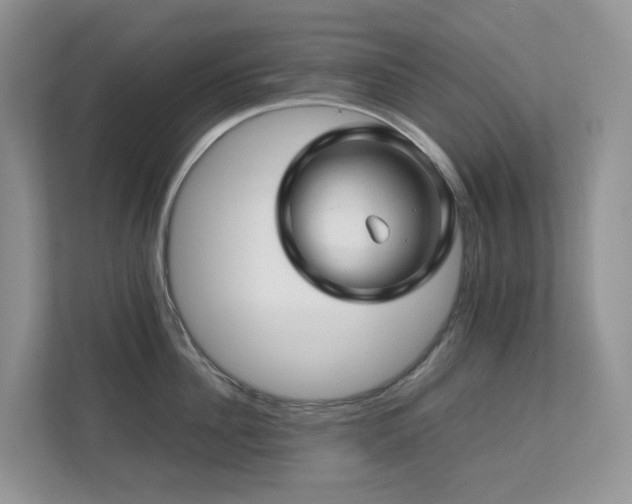 X0000112750956200908201415