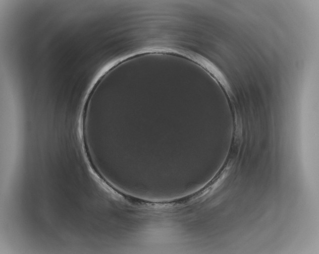 X0000112750958200908201415