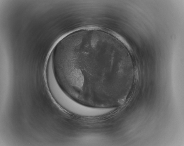 X0000112750959200908201415
