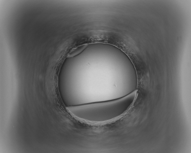 X0000112750961200908201414