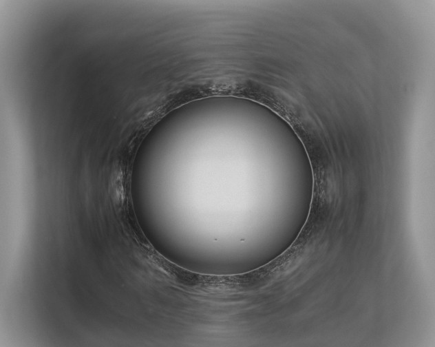 X0000112750962200908201414