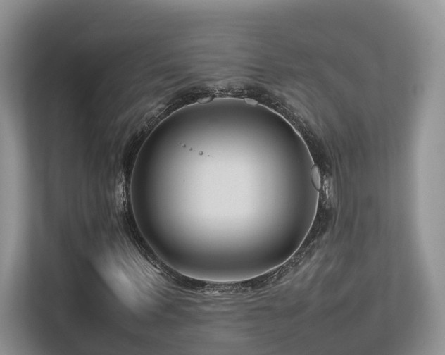 X0000112750963200908201414