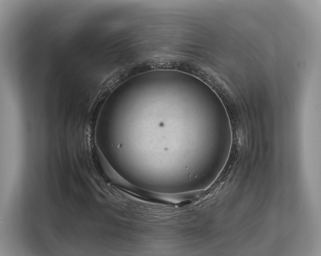 X0000112750964200908201414