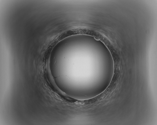 X0000112750965200908201414