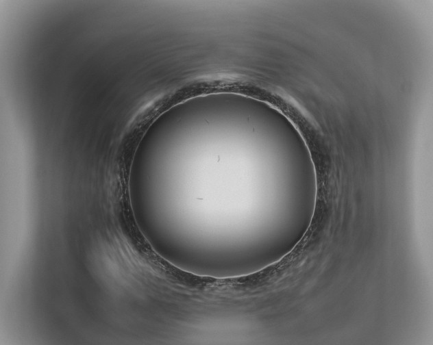 X0000112750967200908201414