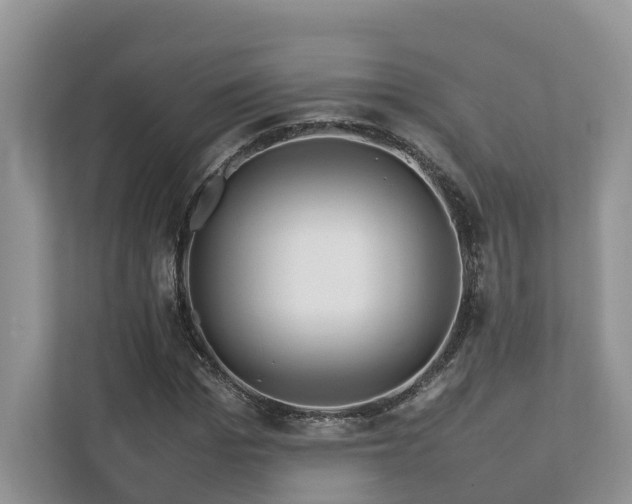 X0000112750969200908201414