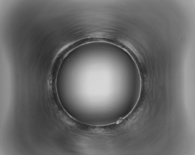 X0000112750971200908201414