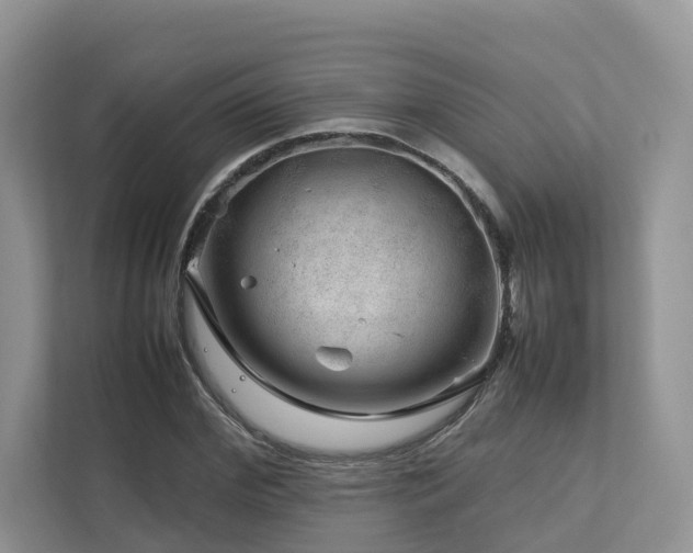 X0000112750972200908201414