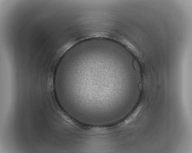 X0000112750977200908201414