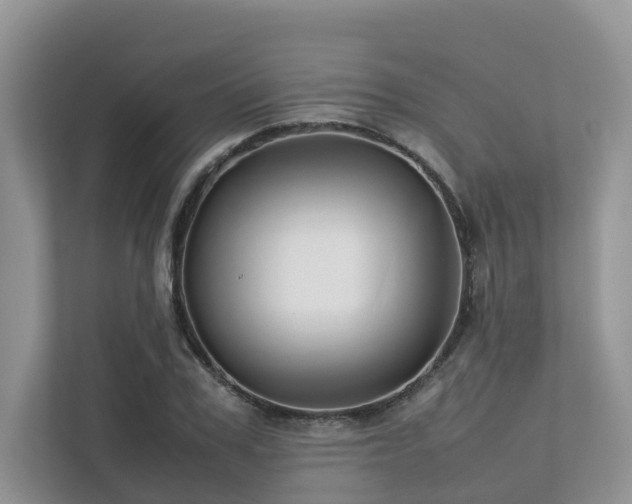 X0000112750979200908201414