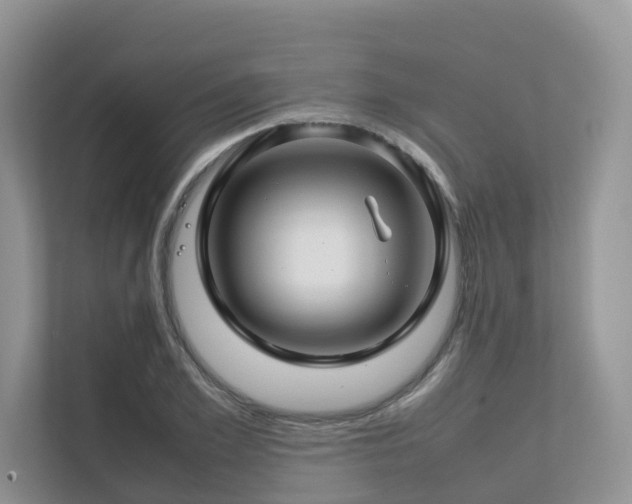 X0000112750981200908201414