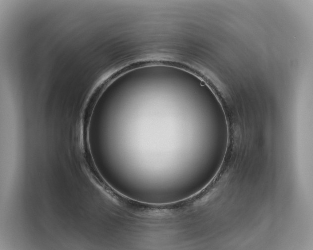 X0000112750982200908201414