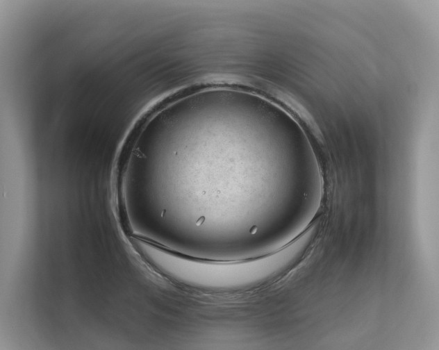 X0000112750984200908201414