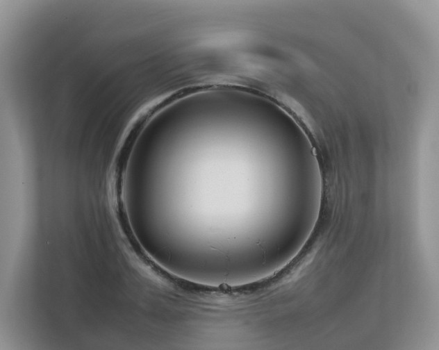 X0000112750987200908201414