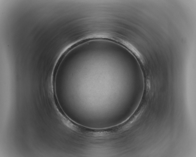 X0000112750988200908201414