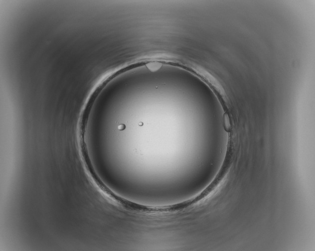 X0000112750989200908201414