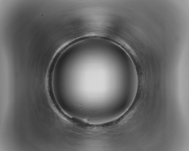 X0000112750991200908201414