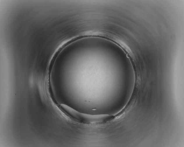 X0000112750992200908201414