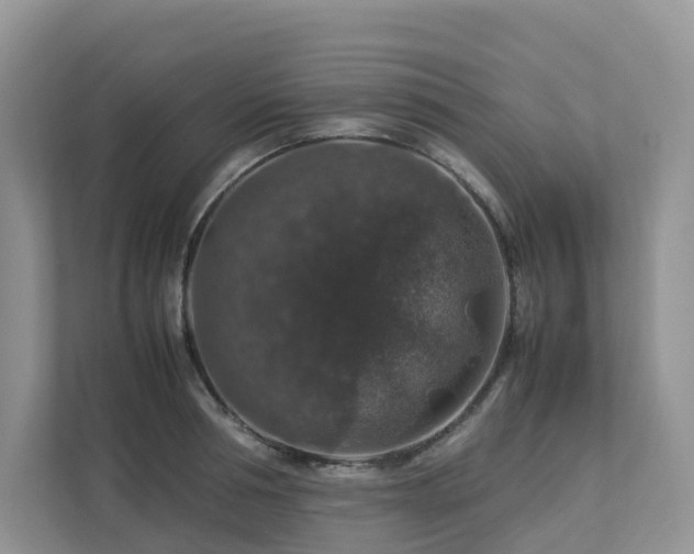 X0000112750994200908201414