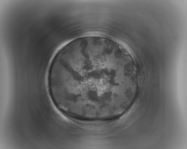 X0000112750995200908201414