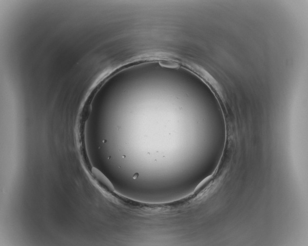 X0000112750997200908201414