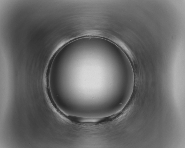 X0000112750999200908201414