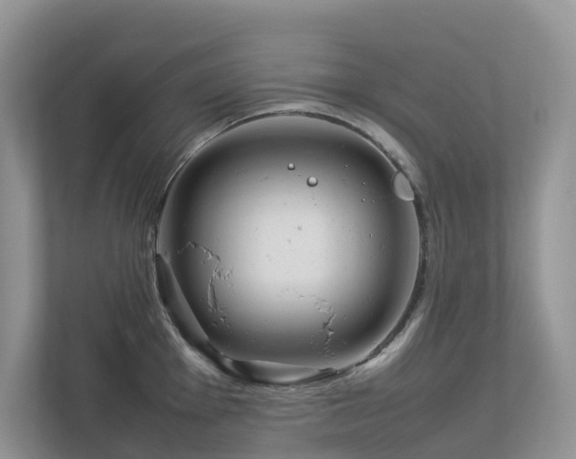 X0000112751001200908201414