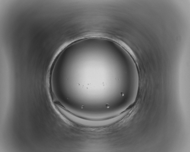 X0000112751005200908201414