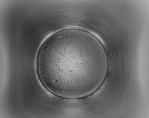 X0000112751007200908201413