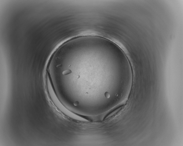 X0000112751008200908201413