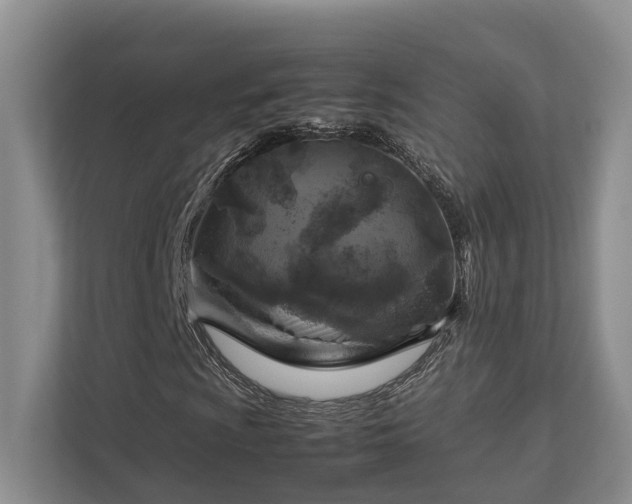 X0000112751009200908201413