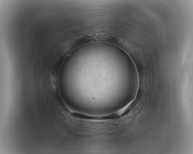 X0000112751010200908201413