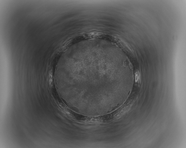 X0000112751011200908201413