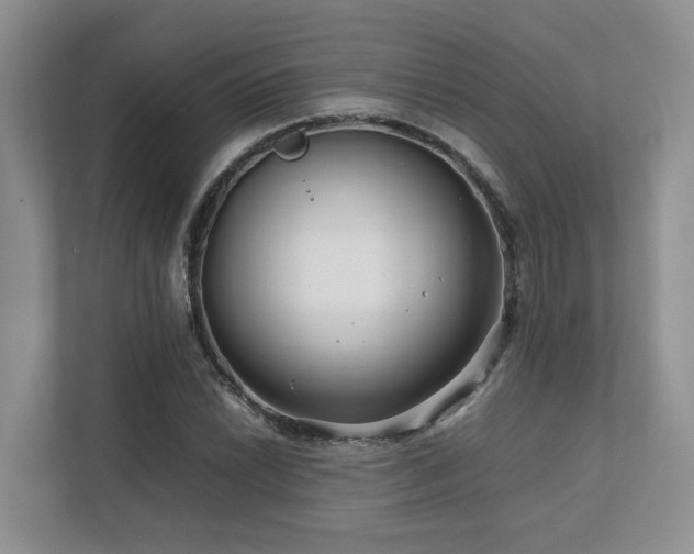 X0000112751022200908201413