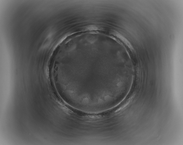 X0000112751023200908201413