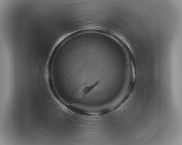 X0000112751024200908201413