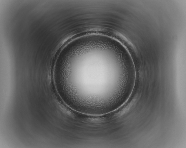 X0000112751025200908201413