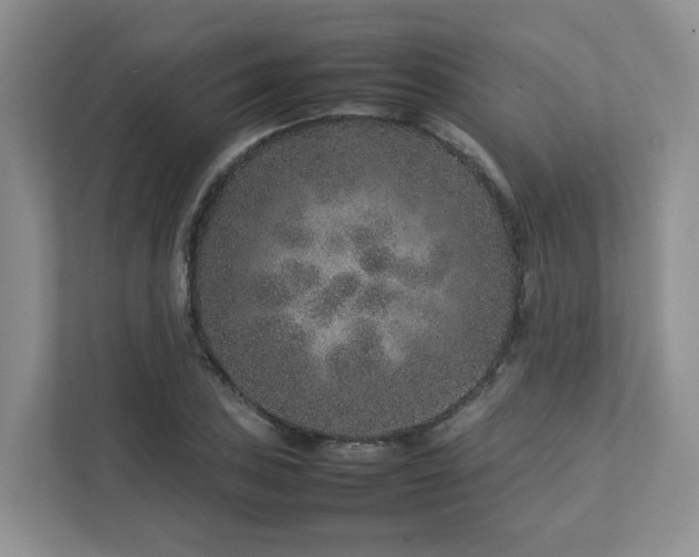 X0000112751027200908201413