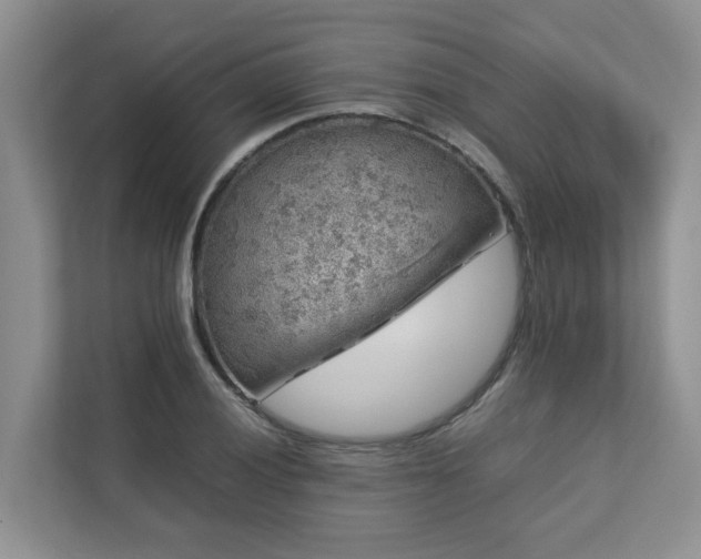 X0000112751028200908201413