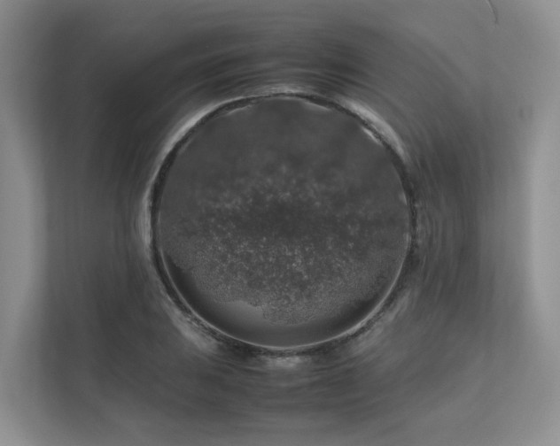 X0000112751031200908201413