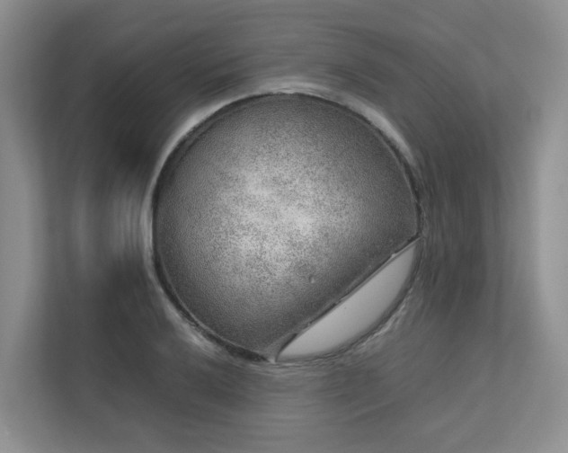 X0000112751032200908201413
